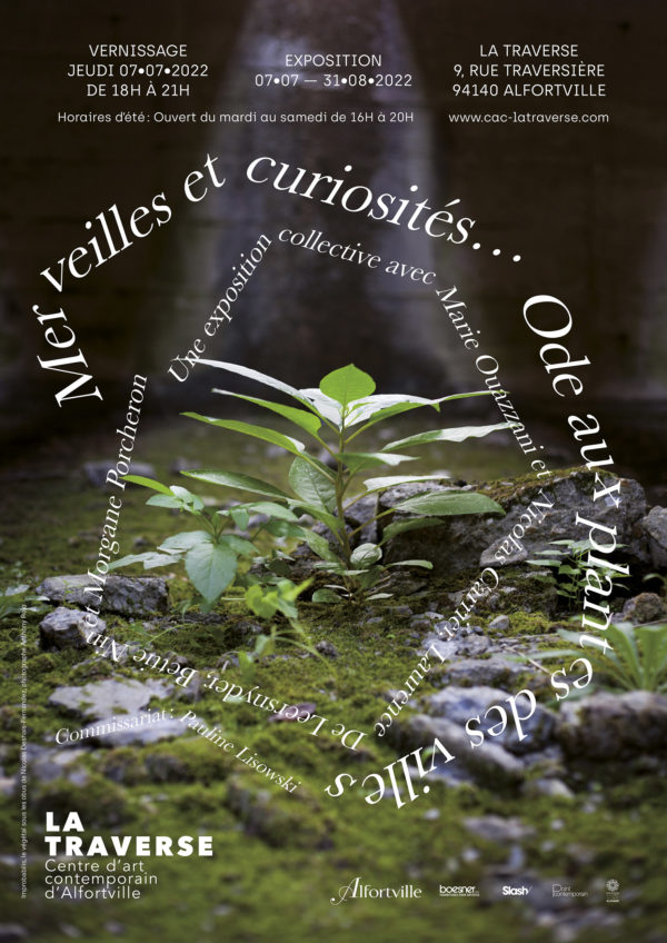 Exposition Merveilles et curiosités… Ode aux plantes des villes