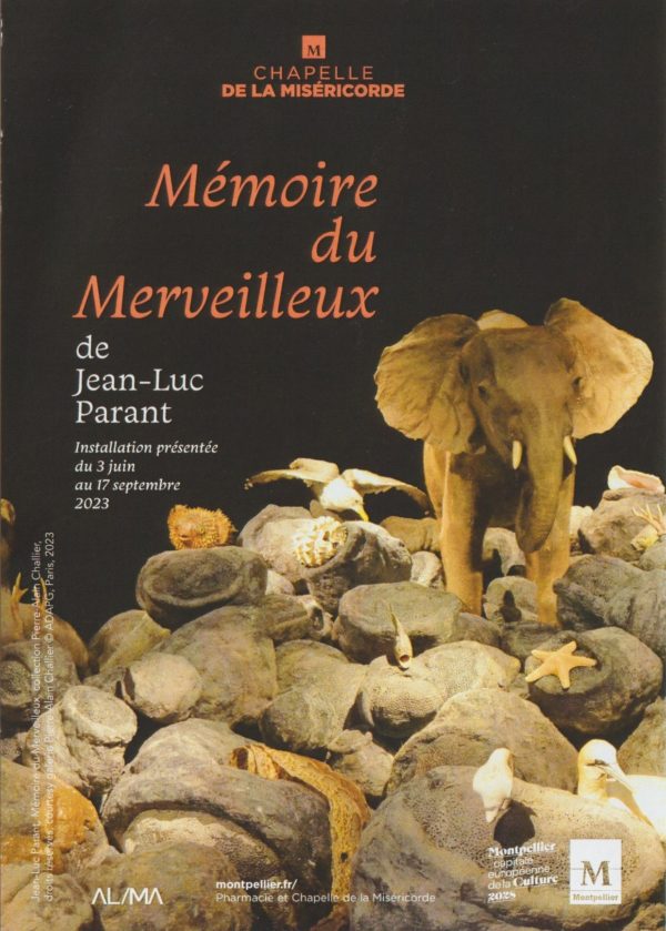 A propos de l’Installation « Mémoire du Merveilleux » de Jean-Luc Parant, Chapelle de la Miséricorde, Montpellier, 2023.