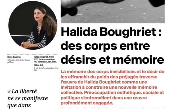 Bourse EKPHRASIS :  découvrez le texte de Sonia Recasens sur le travail de d’Halida Boughriet