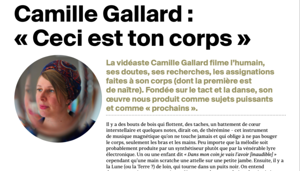 Bourse EKPHRASIS :  découvrez le texte d’Éric Loret sur le travail de Camille Gallard