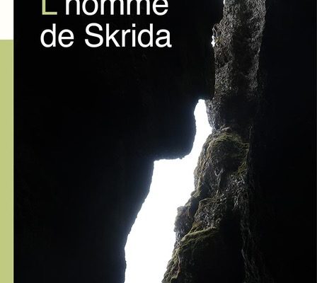 L’homme de Skrida (roman)