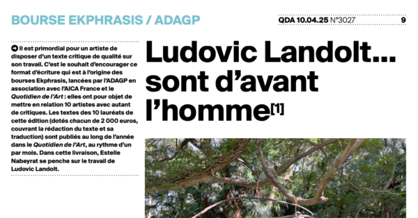 Bourse EKPHRASIS :  découvrez le texte d’Estelle Nabeyrat sur le travail de Ludovic Landolt