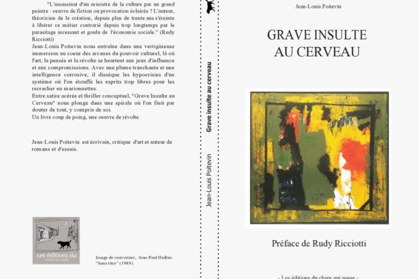 Parution de Grave insulte au cerveau un roman qui se passe dans le milieu de l’art contemporain aux éditions du chien qui passe