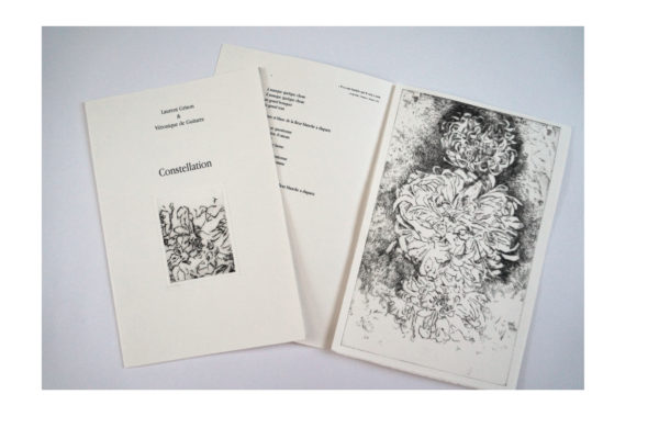 Laurent Grison, « Constellation », Éditions Les Cahiers du Museur, collection « A côté », 2025