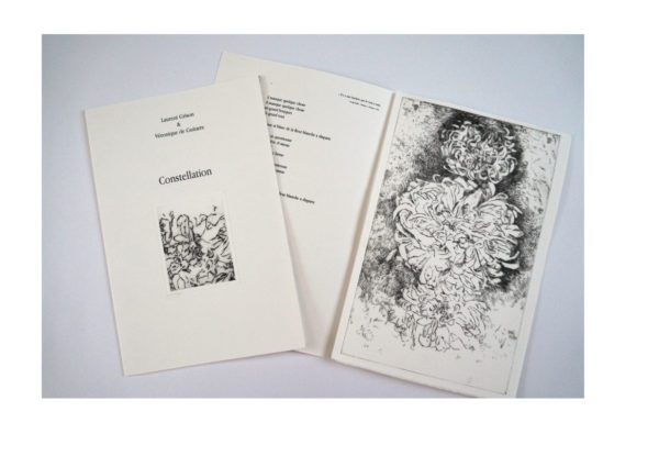 Laurent Grison, « Constellation », Éditions Les Cahiers du Museur, collection « A côté », 2025