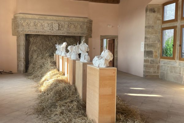 Barbara Schroeder, Château de Taurines, Centres, Aveyron 12