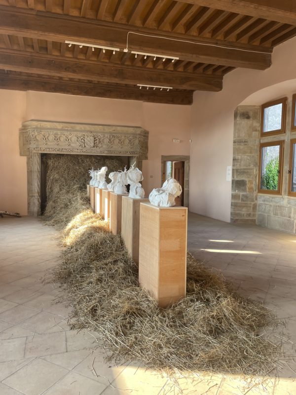 Barbara Schroeder, Château de Taurines, Centres, Aveyron 12