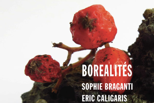 BOREALITES au Narcisso à Nice