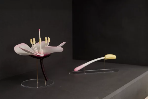 Table ronde : « Le design olfactif peut-il contribuer à préserver une mémoire du Vivant ? »
