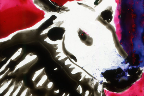 Lise Chevalier Remparts et Tours d&rsquo;Aigues Mortes