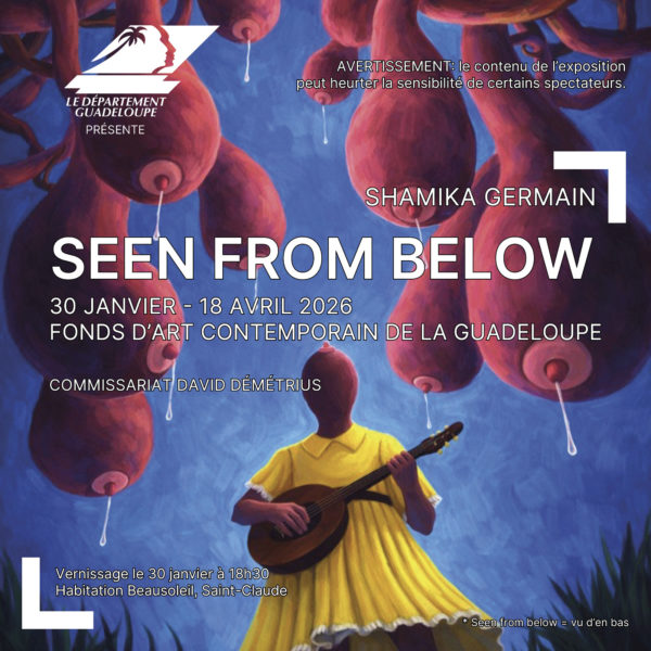 « Seen from Below », solo show de Shamika Germain au Fonds d&rsquo;Art Contemporain – Habitation Beausoleil, Saint-Claude, Guadeloupe