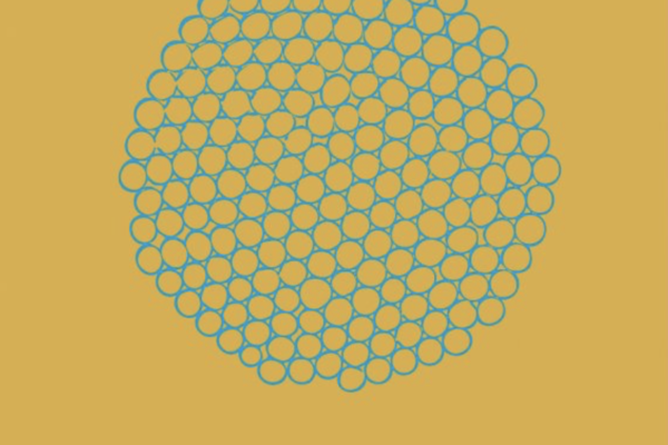 Biomimetic Stories
