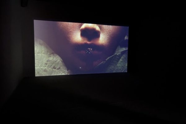 Saodat Ismailova  « Amanat, La forêt sacrée »  Les Forges, LUMA  Arles. Eté 2026