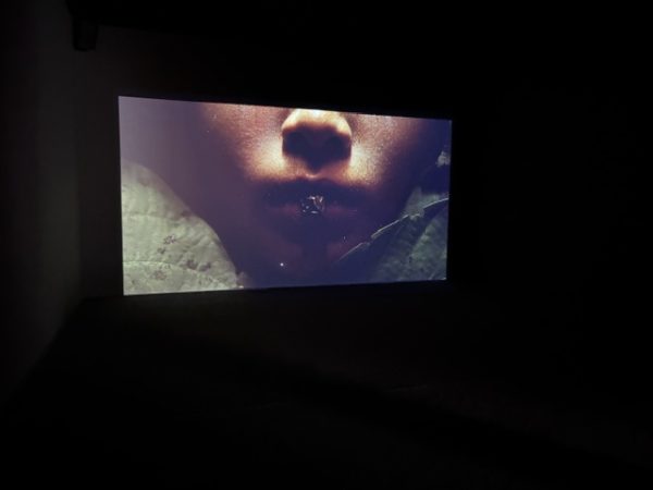 Saodat Ismailova  « Amanat, La forêt sacrée »  Les Forges, LUMA  Arles. Eté 2026