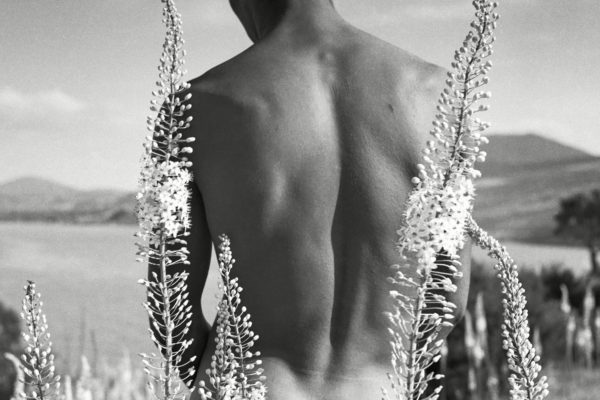 Herbert List et Zied Ben Romdhane chez Magnum