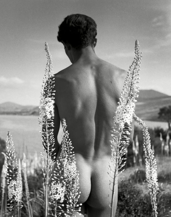 Herbert List et Zied Ben Romdhane chez Magnum